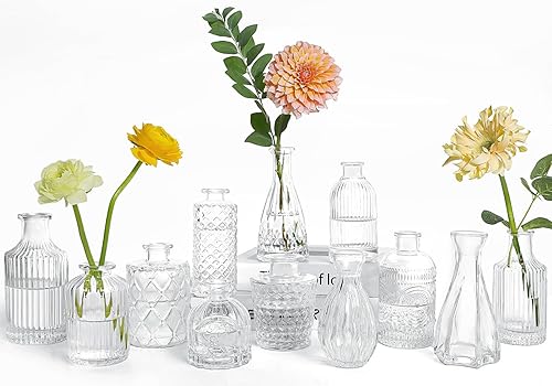 Valentine's Day Clear Glass Bud Vases Set of 12, Mini Flower Vase for Centerpieces, Small Vases in Bulk for Wedding Decorations, Vintage Vase for