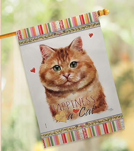 Miniatura 10 de Breeze Decor Juego de banderas de calicó para casa de jardín, diseño de gato y gatito maullido, piel de pata estropeada, mascota, naturaleza,