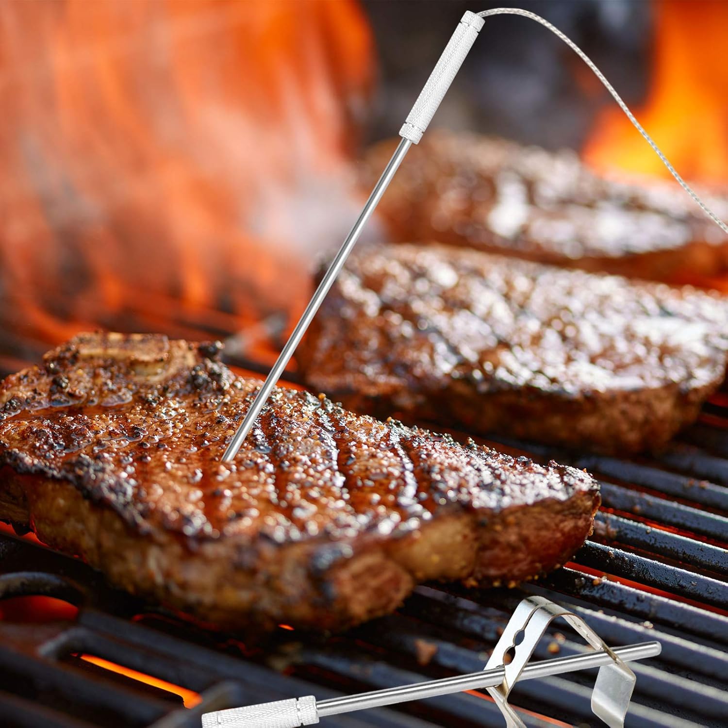 Meat Temperature Probe Ambient Probe Replacement Probe for Thermopro TP20 TP25 TP-08 TP27 TP930 TP829 TP28 TP08 TP17 TP-16 TP910 TP07 TP17H TP06S TP09,2-Piece Set : Home & Kitchen