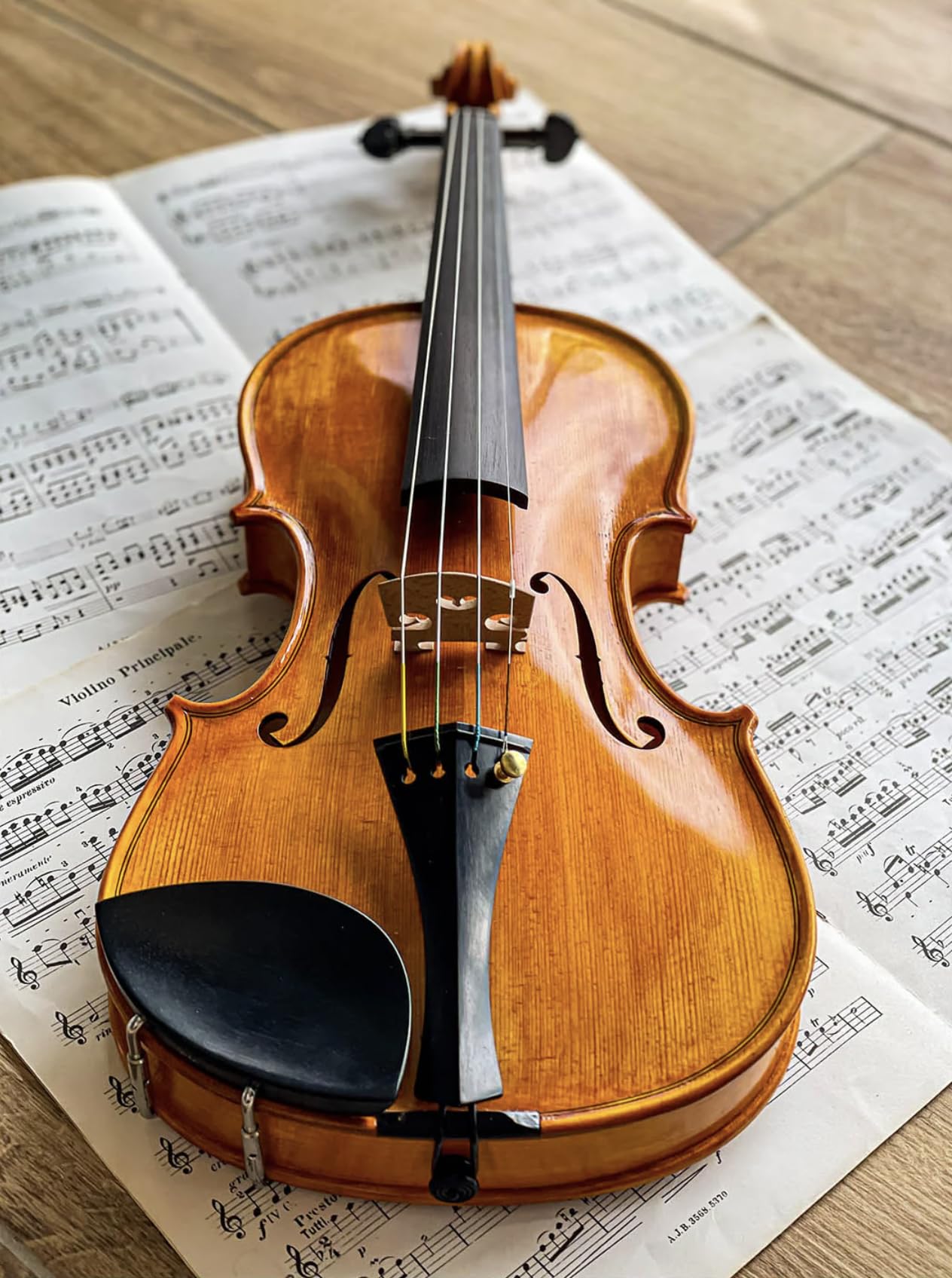 Conrad Gotz Zk256 pour violon