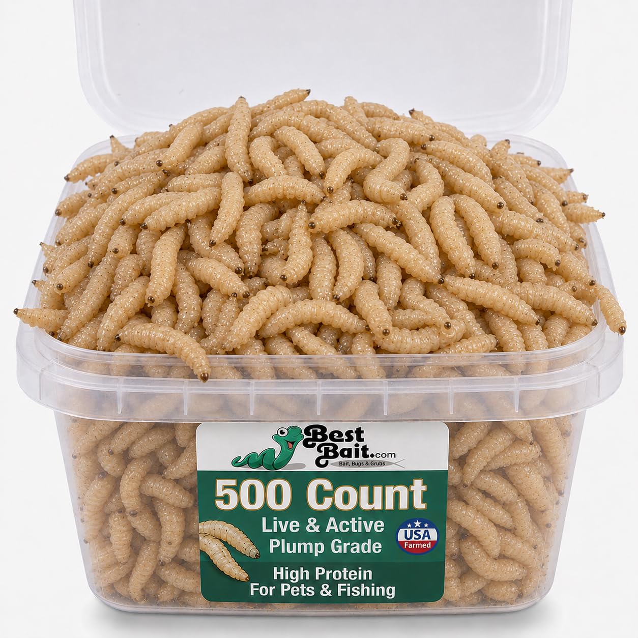 Best Carp Baits Bestbait Maggots