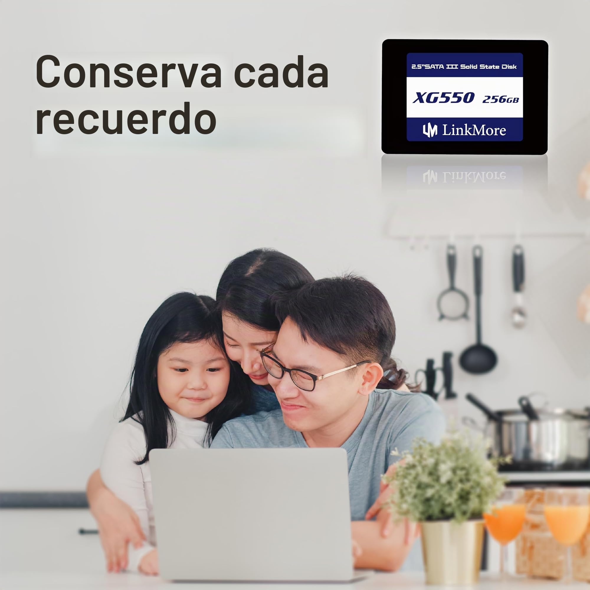 LinkMore XG550 256GB 2.5" SATA III (6 GB/s) SSD Interno, Disco SSD, Velocidad de Lectura de hasta 500 MB/s, 2.5" para Ordenador portátil y sobremesa