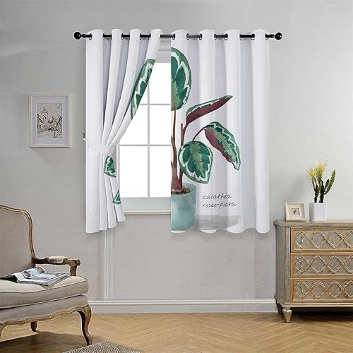 Light Blocking Curtains Potted Plant Grommet Short Folding Accordion Doors for Closets Cortinas para Ventanas De Cuarto 72Inch Width by 85Inch
