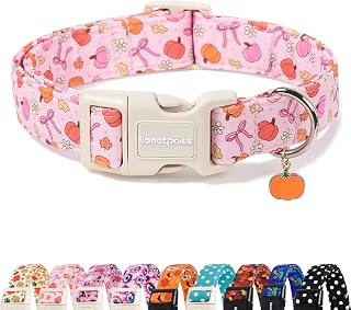 LIONET PAWS Fall Dog Collar for Small Medium Large Girl Dog-Pink Pumpkin S | Cute Cotton Basic Puppy Doggy Boy Girl Collar, XS S M L XL, Autumn Outdoor Adventure, Pumpkin Patch, Harvest Festival, Hiking