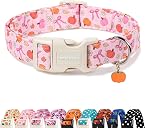 fall dog collar Top2商品