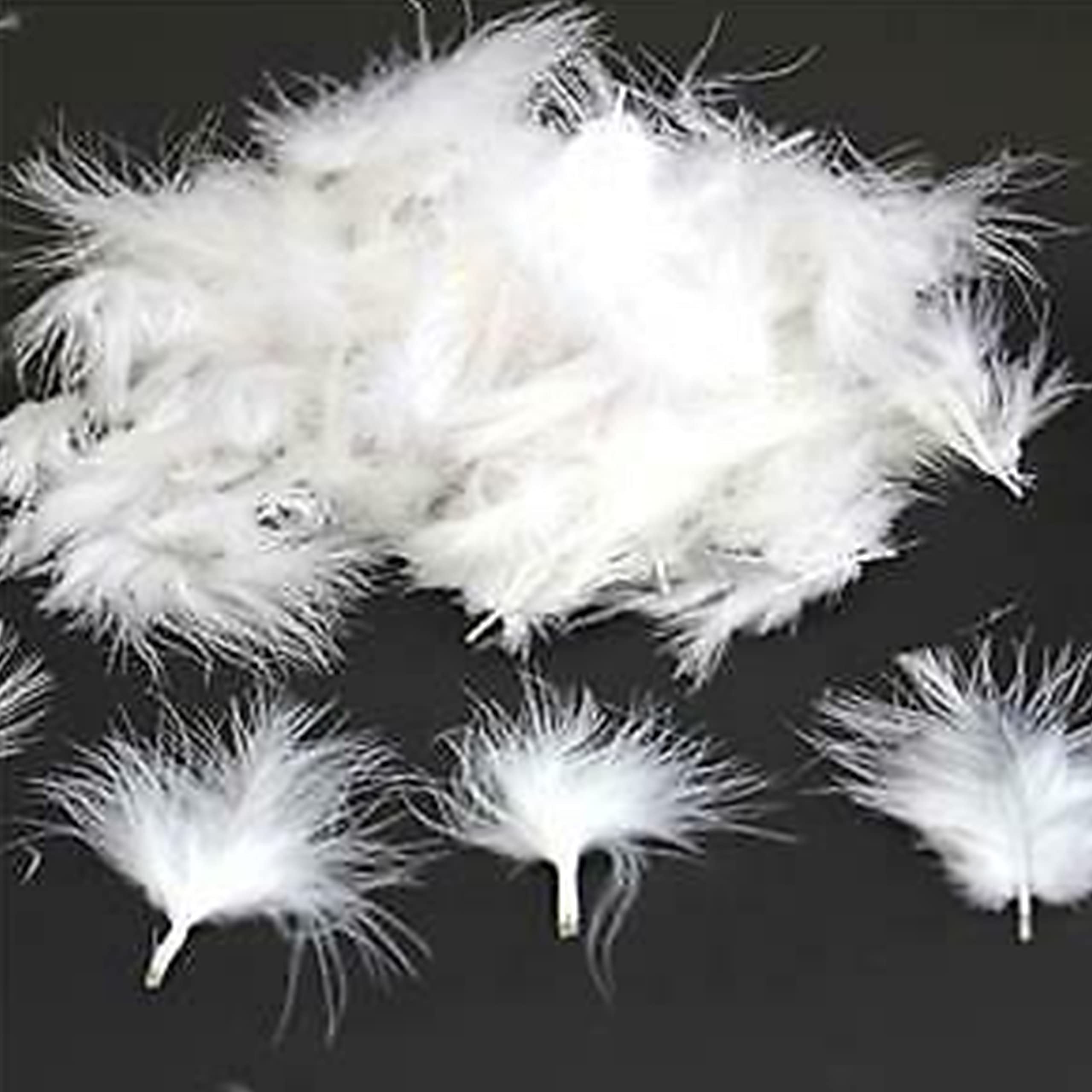 Diamante Crafts Mini Marabou Feathers 50 Per Pack - 3-8 cm - White