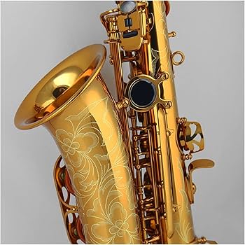 サックス ジャンク Amazon.co.jp: TSTS 初心者のためのEフラットアルトサックス