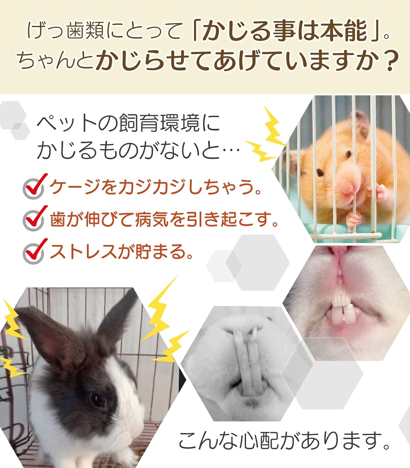 贅沢 ハムスター おやつ 餌 歯磨き うさぎ かじるおもちゃ 歯研ぎ かじり木 Www Anavara Com