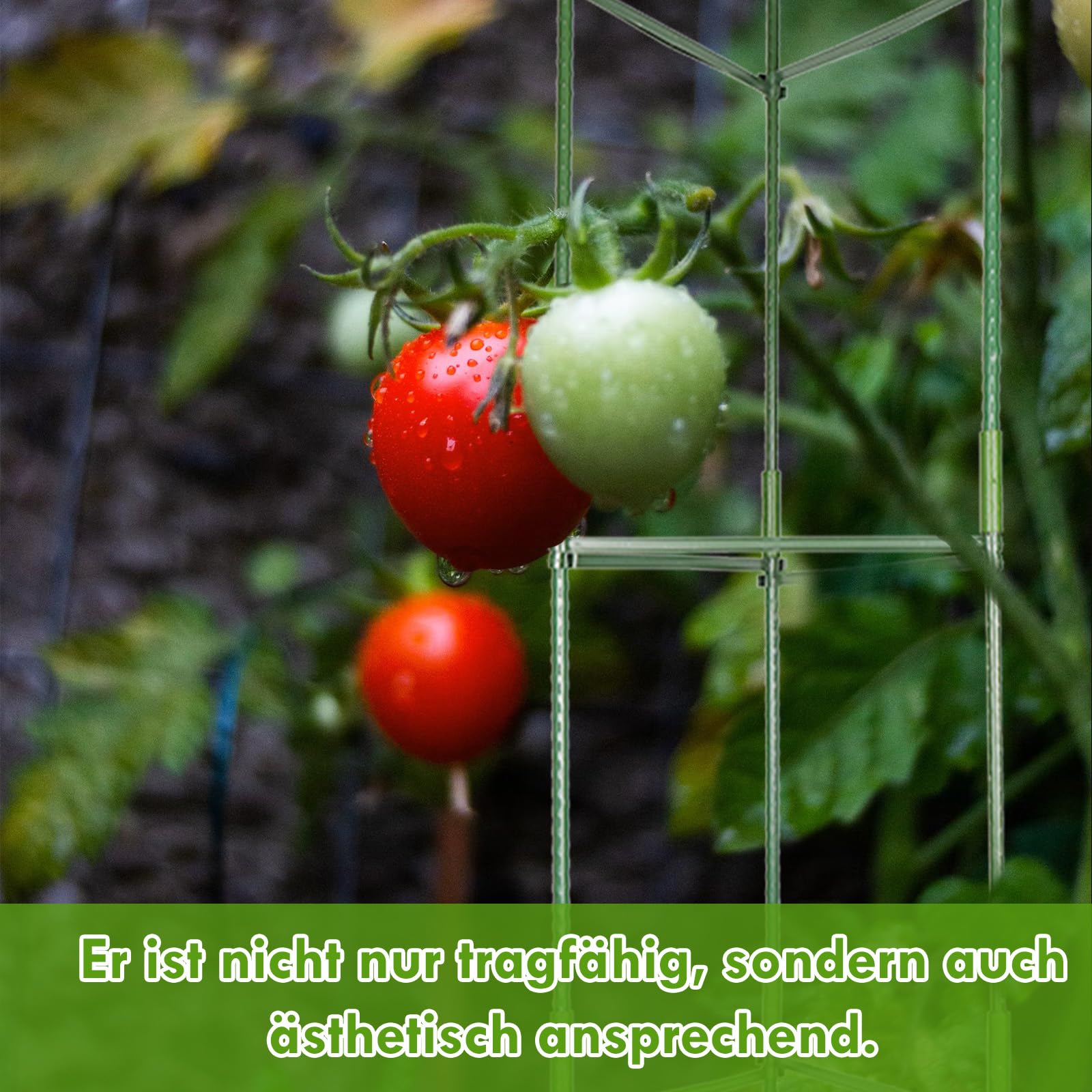 6 Stück Tomaten Rankhilfe, Gurken Rankhilfe, Rankhilfen für Kletterpflanzen für den Garten, Zusammengebaute Rankhilfe Tomaten, Rankhilfe für den Gemüse, Blumen und Obstanbau (120CM)