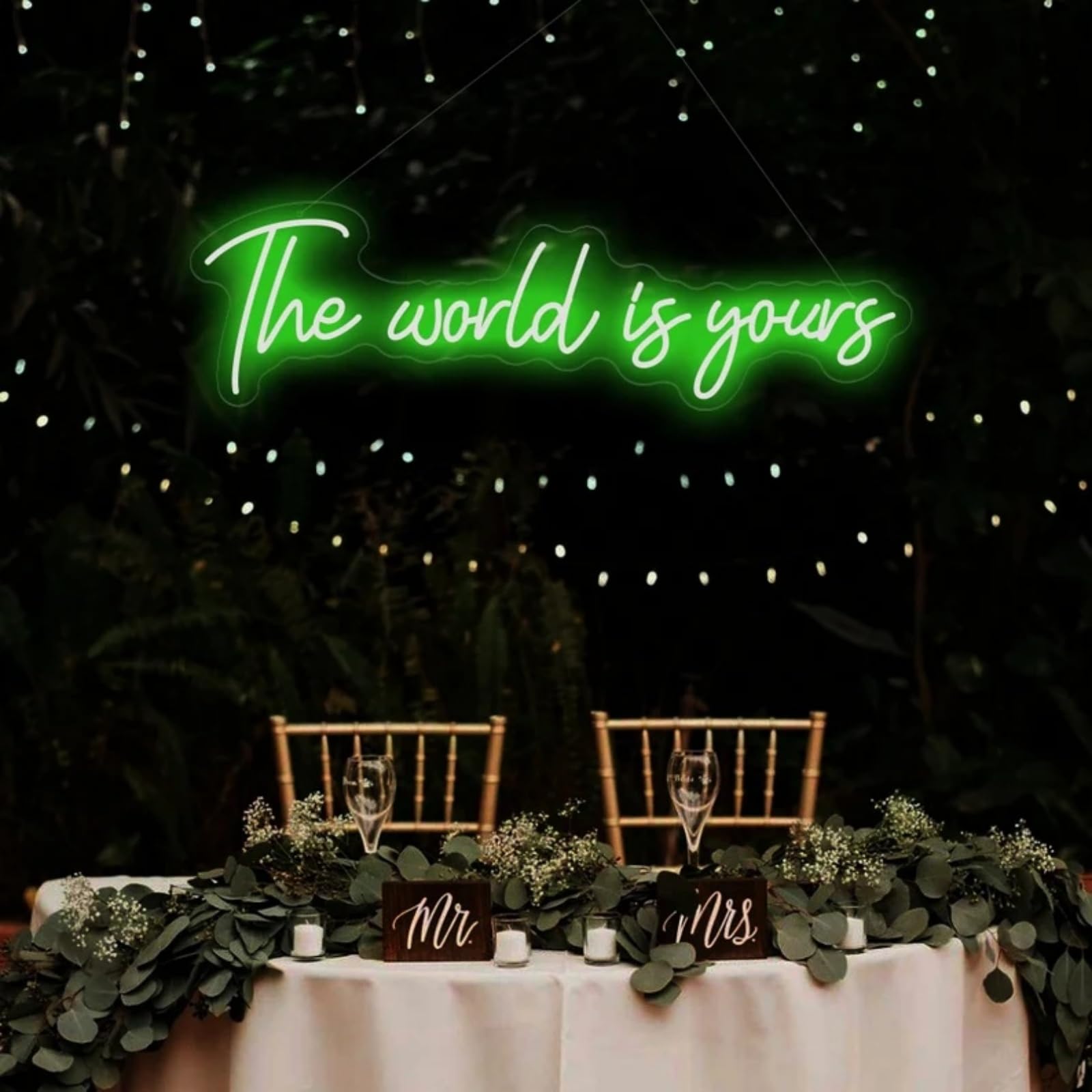 The World is Yours Neon Sign for Wall Decor, LED Light Signs for Bedroom Game Room Man Cave Home Bar Bistro Club Cafe Wedding Graduation Party Birthday Gift