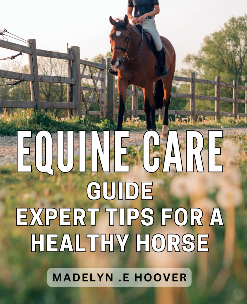 Equine Care Guide - Expert Tips for a Healthy Horse.: Complete Equine Care Guide - Holistic Expert Tips for a Vibrant and Happy Horse.