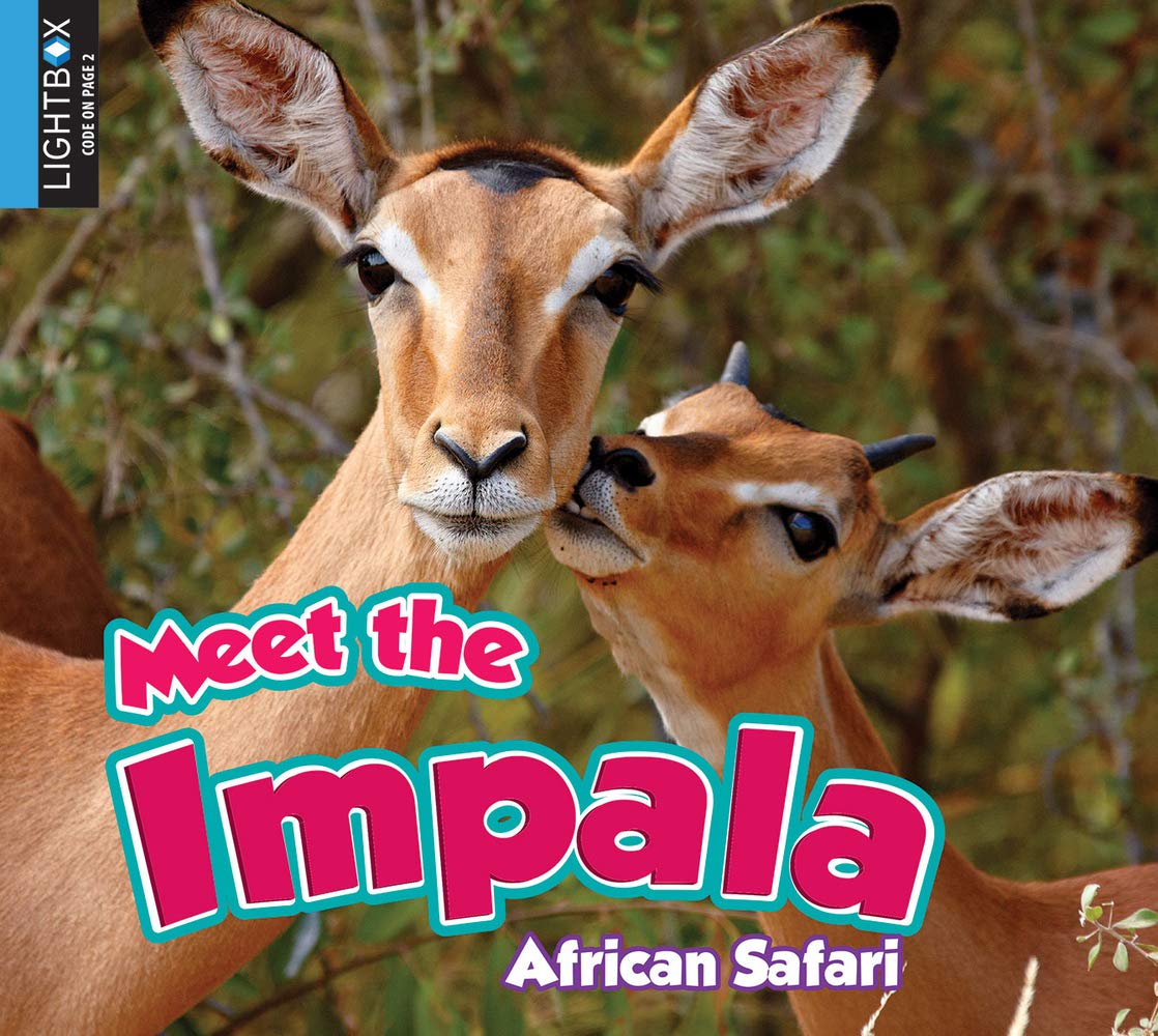 Amazon Meet The Impala African Safari Katie Gillespie Children S Books