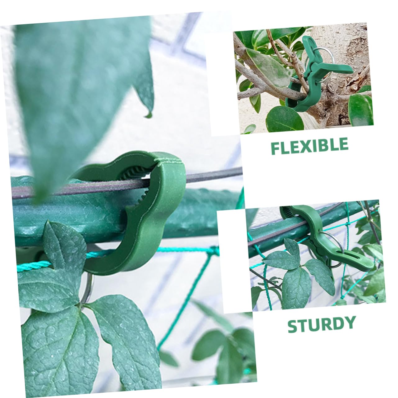 BESPORTBLE 3 Sätze Gartenclip-Set Stützclips Für Pflanzenstämme Abstecken Pflanzen-stützklammern Gitterclips Bieger Gartenclips Pole Kirschtomaten Stangen Stand Fix Green Plastik 60 Stück * 3