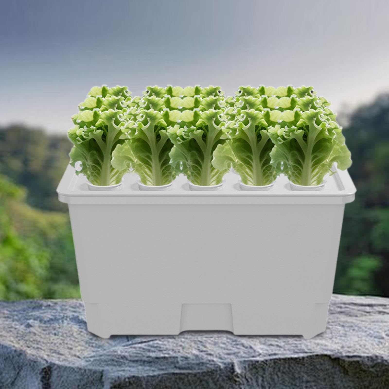 Anbausystem Set für Den Innenbereich, Tragbares Gartenbau Set für Hotel Und Büro, Obstanbau, Weiß