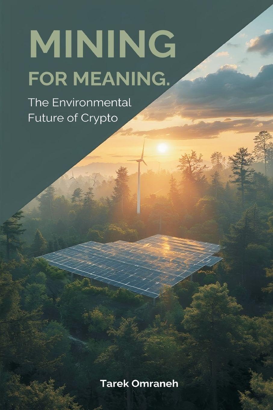 Roaming Through the West Indies: The Environmental Future of Crypto