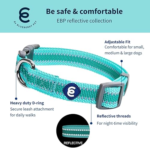 Miniatura 2 de Blueberry Pet Essentials - Collar ajustable y reflectante Back to Basics para perro, color oliva oscuro, tamaño S, cuello de 12 a 16 pulgadas