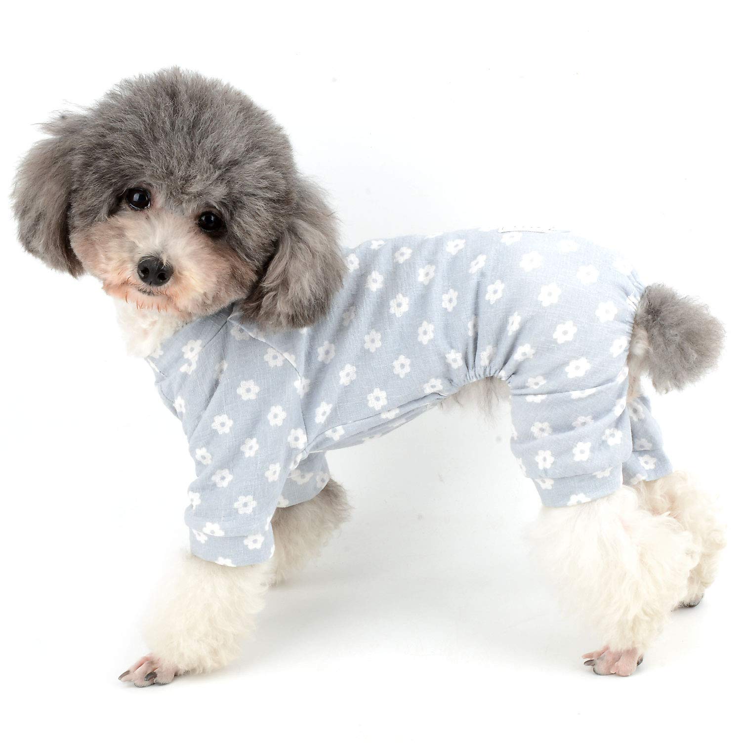 犬服 S わんこの普段着大きな花