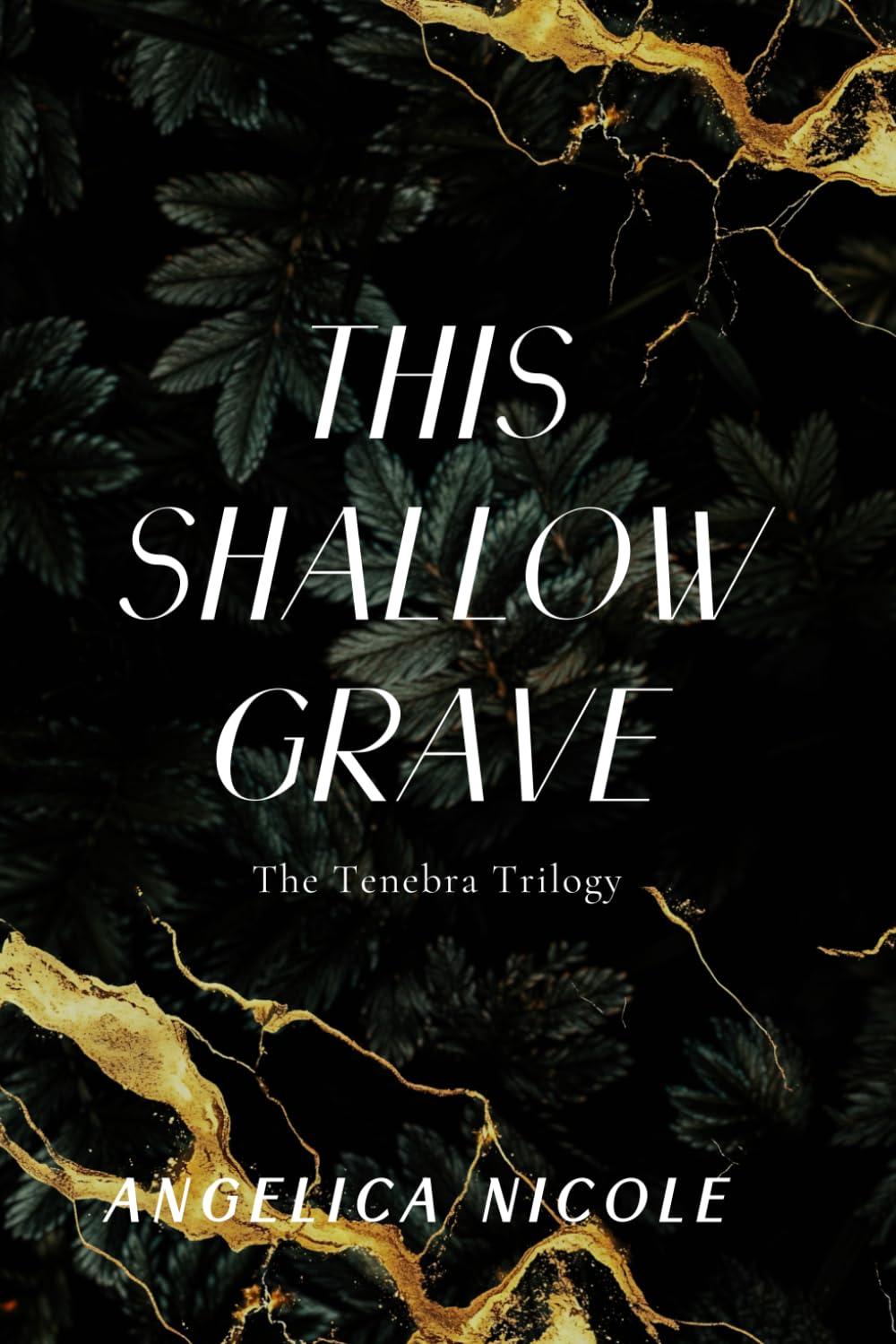 This Shallow Grave (The Tenebra Trilogy)