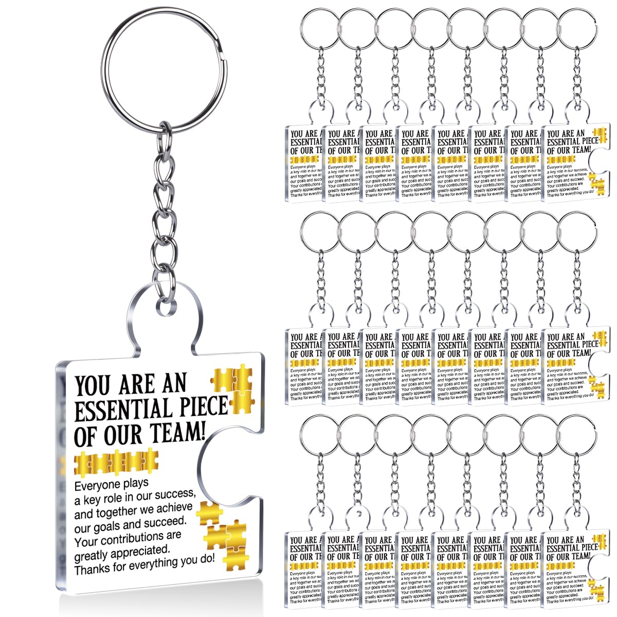 Team Appreciation Gifts Bulk Thank You Keychains for Coworkers