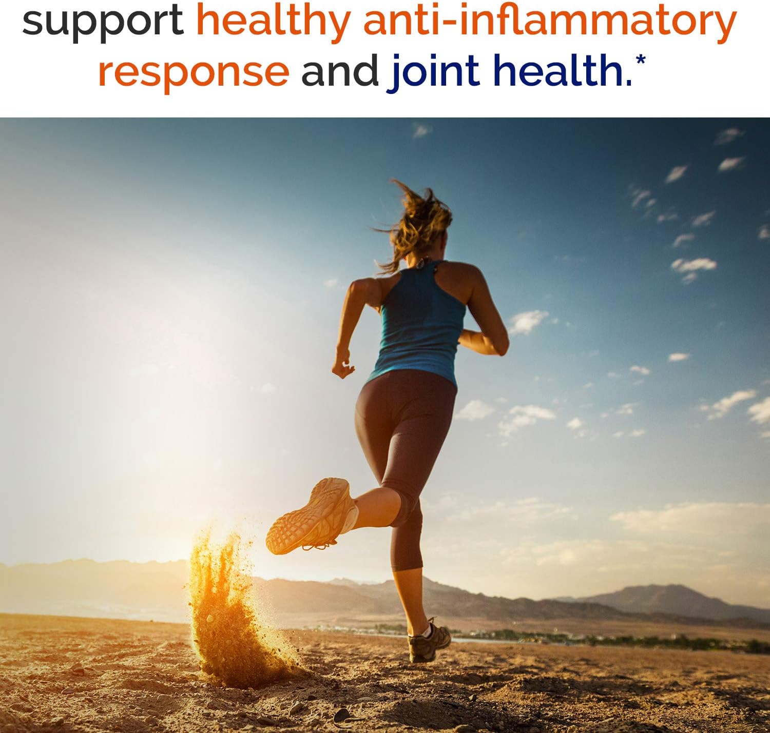 Organic Turmeric Curcumin with BioPerine, 95% Standardized Curcuminoids, 1960mg per Serving, 120 Veggie Caps, Non-GMO, NO Gluten NO Dairy NO Soy, Anti-Inflammatory, Pain Relief & Joint Support : Health & Household