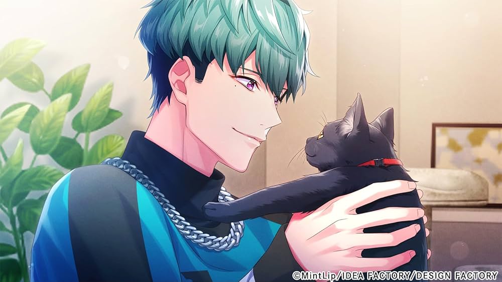 DIG-ROCK ディグロ Switch Amazon.co.jp: 【Switch】DIG-ROCK -Documentary of Youthful