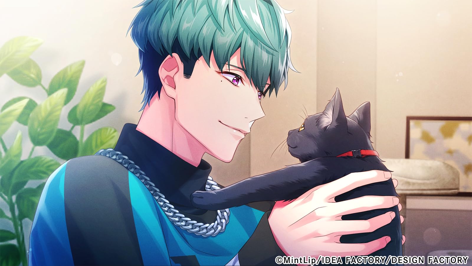 DIG-ROCK ディグロ Switch DIG-ROCK -Documentary of Youthful Sounds-｜製品情報｜製品情報