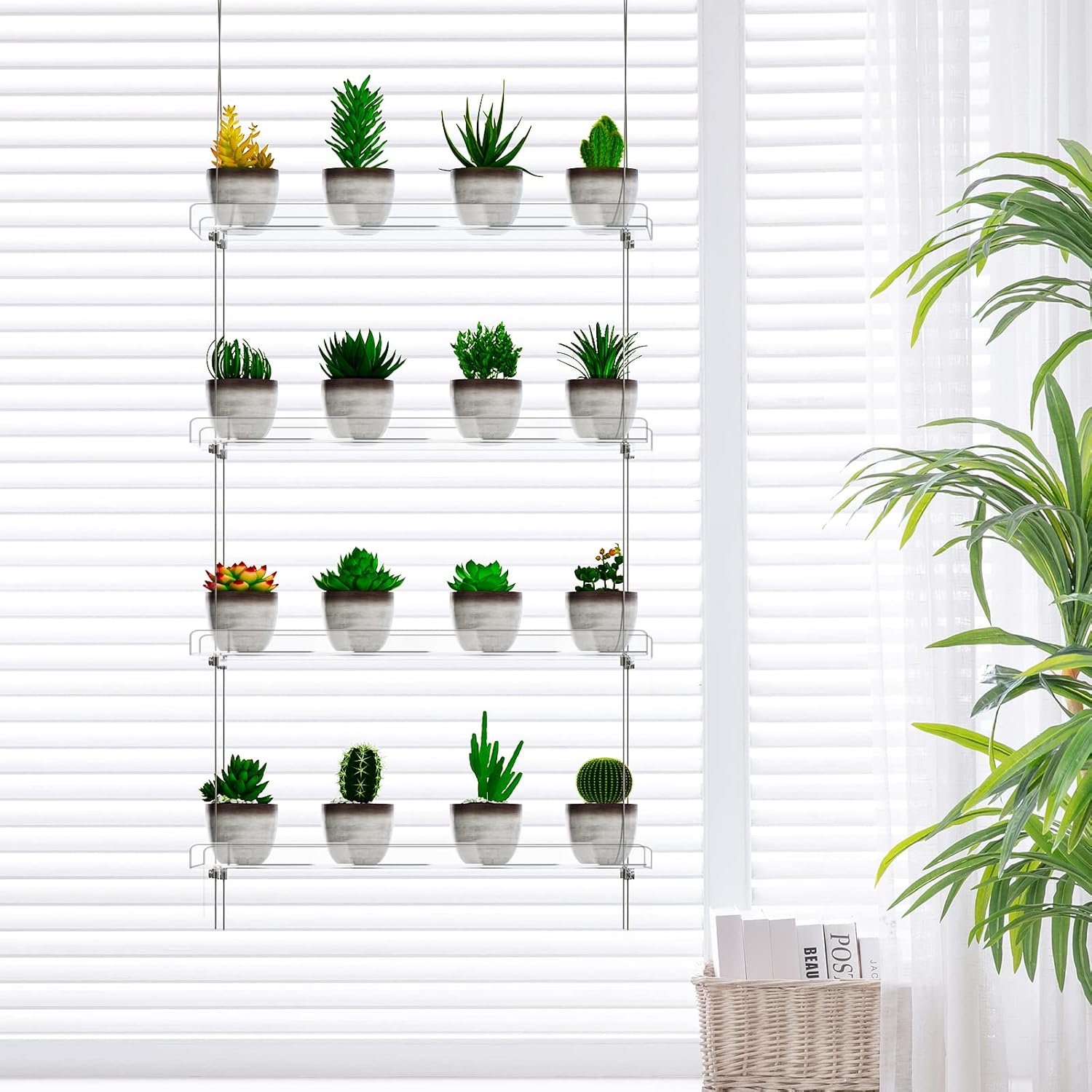 4-TierClear Plant Shelves, Height Adjustable Hanging Acrylic Indoor Wall Hanging Plant Stand Flower Display, Flower Pot Organizer Storage for Window Grow Herbs, Microgreens, Succulents, 16 Inch