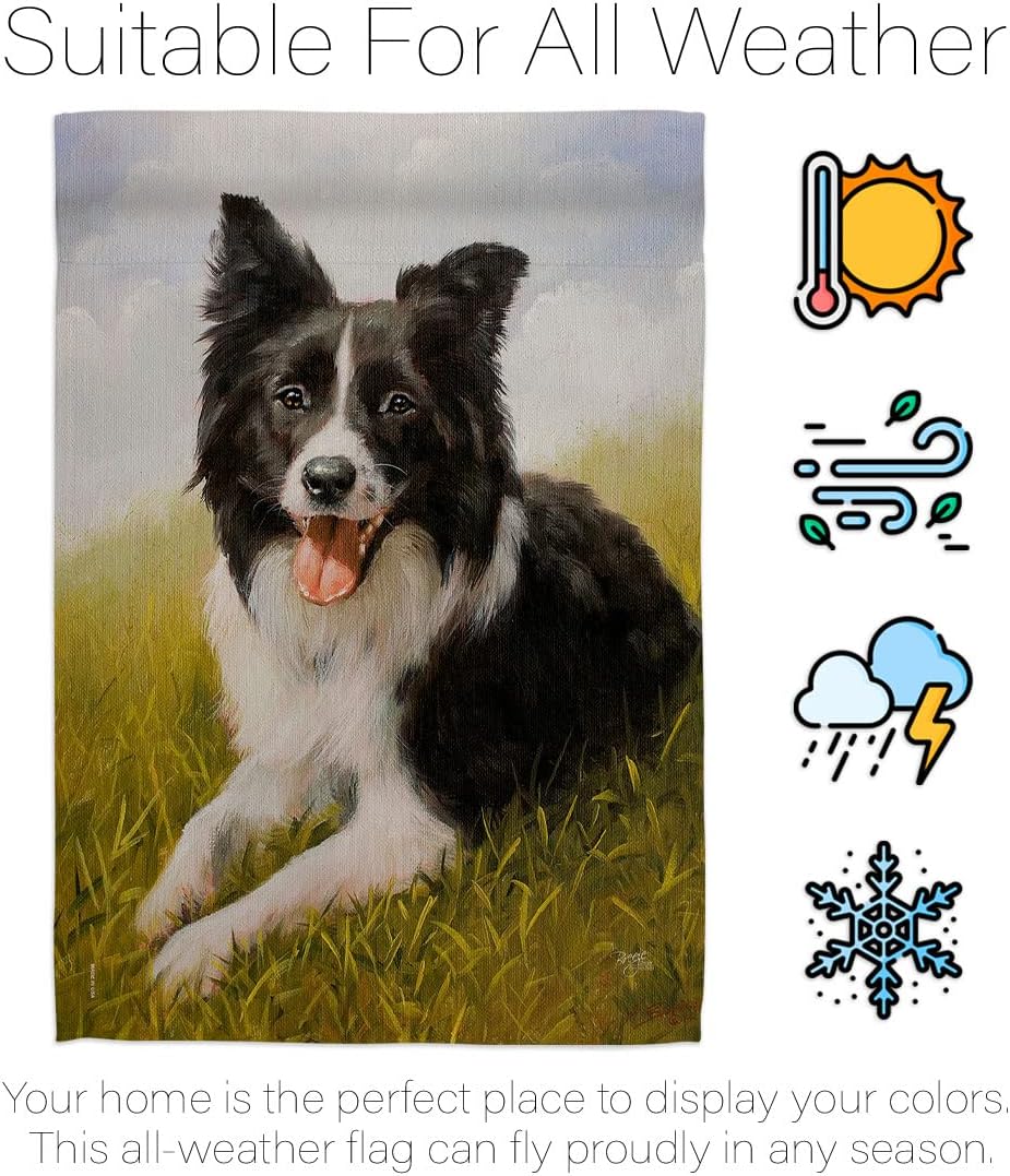 Breeze Decor Border Collie Garden Flag Set with Stand Dog Puppy Spoiled Paw Canine Fur Pet Nature Farm Animal Creature House Decoration Banner Small Yard Gift Double-Sided, Made in USA