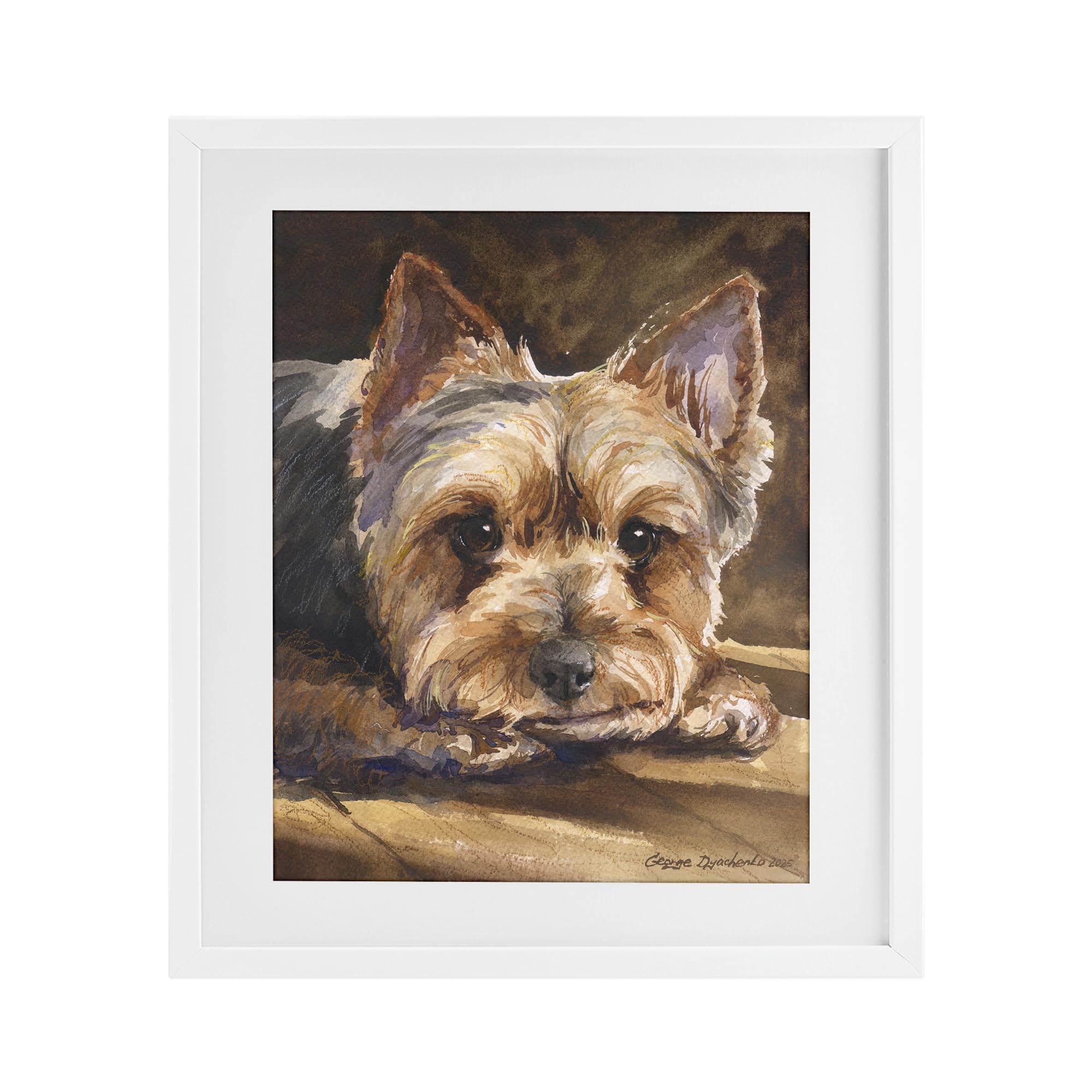 Stupell Industries Coastal White (Textured) 'Yorkshire Terrier Portrait'| Framed Print Under Glass