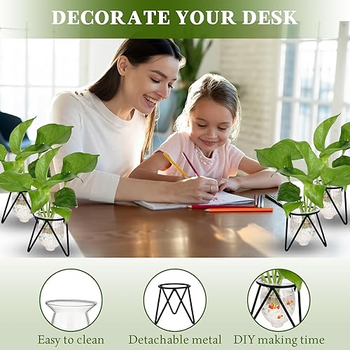 Miniatura 5 de Ripeng 8 piezas de terrario para plantas con soporte de metal, propagación de plantas de vidrio, florero de vidrio propagado, maceta de vidrio,