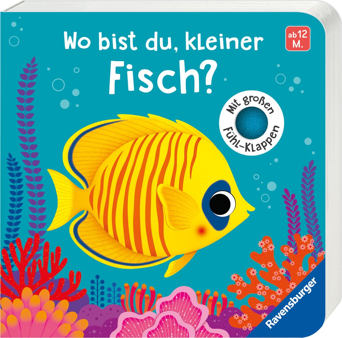 Wo bist du, kleiner Fisch?: Mit großen Fühlklappen