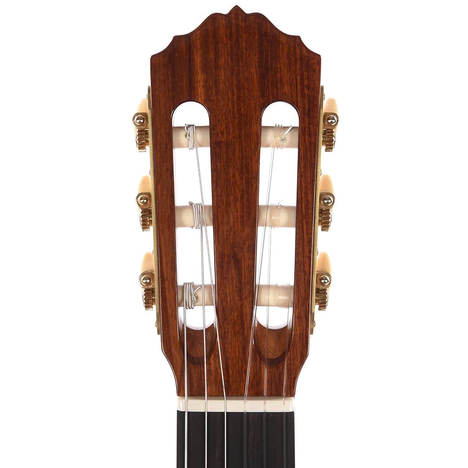 Amazon | Cordoba フラメンコギター Luthier Select Series Esteso SP 