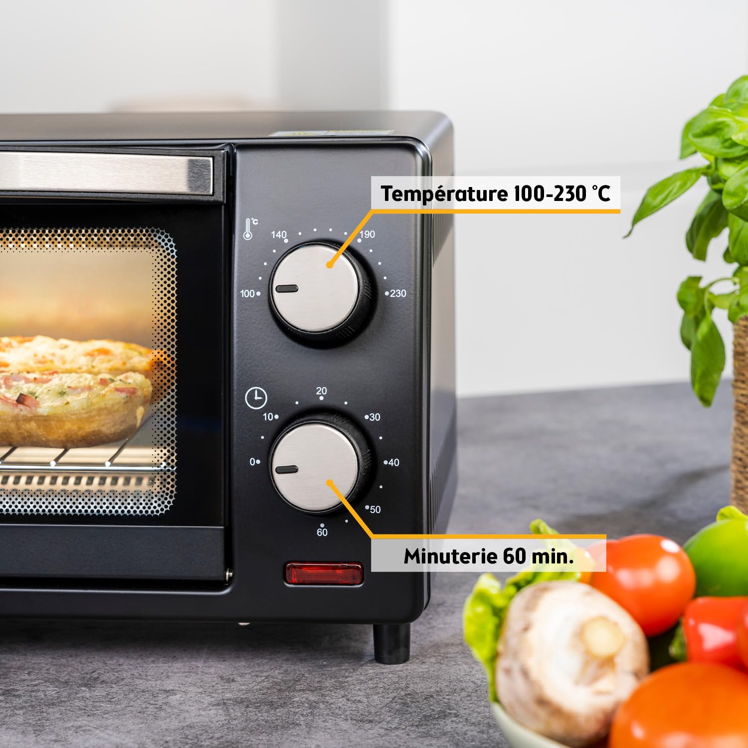 TZS First Austria - Mini-Four 10L 800W - Four avec réglage de la température jusqu'à 230°C - Avec minuteur de 60 min, 2 hauteurs d'insertion, plaque et grille - Pour petites cuisines et camping