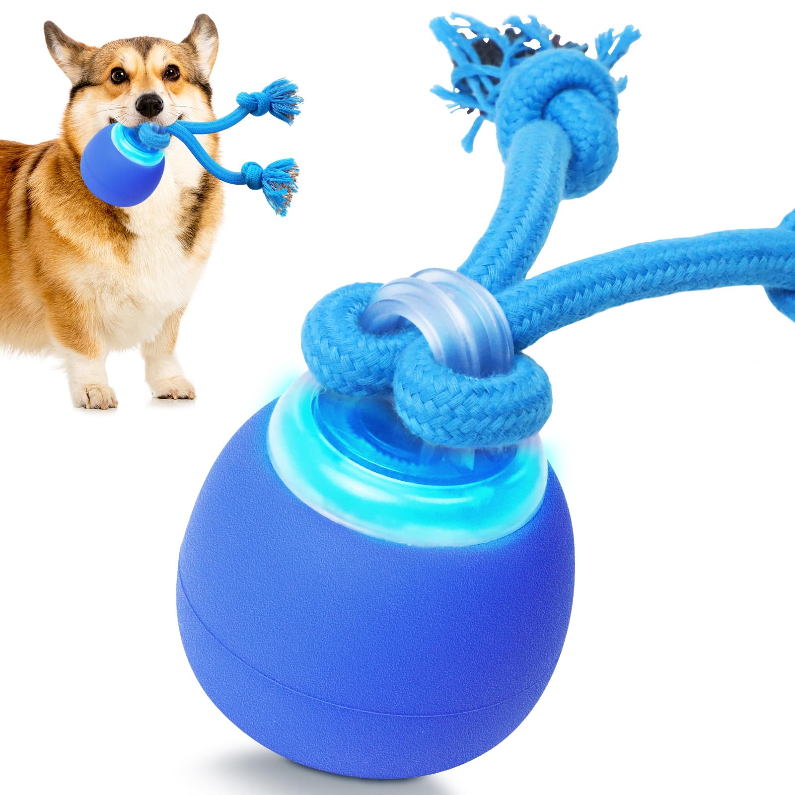 Jouet interactif pour chien Chase Buddy idéal en intérieur et jardin