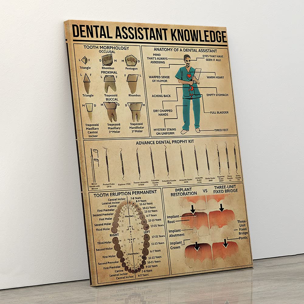 Buy Audree Dental Assistant Education s, Dental Assistant Knowledge