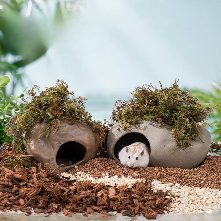 Amazon | Zehaiwl ゴールデン ハムスター ハウス 陶器 大きい