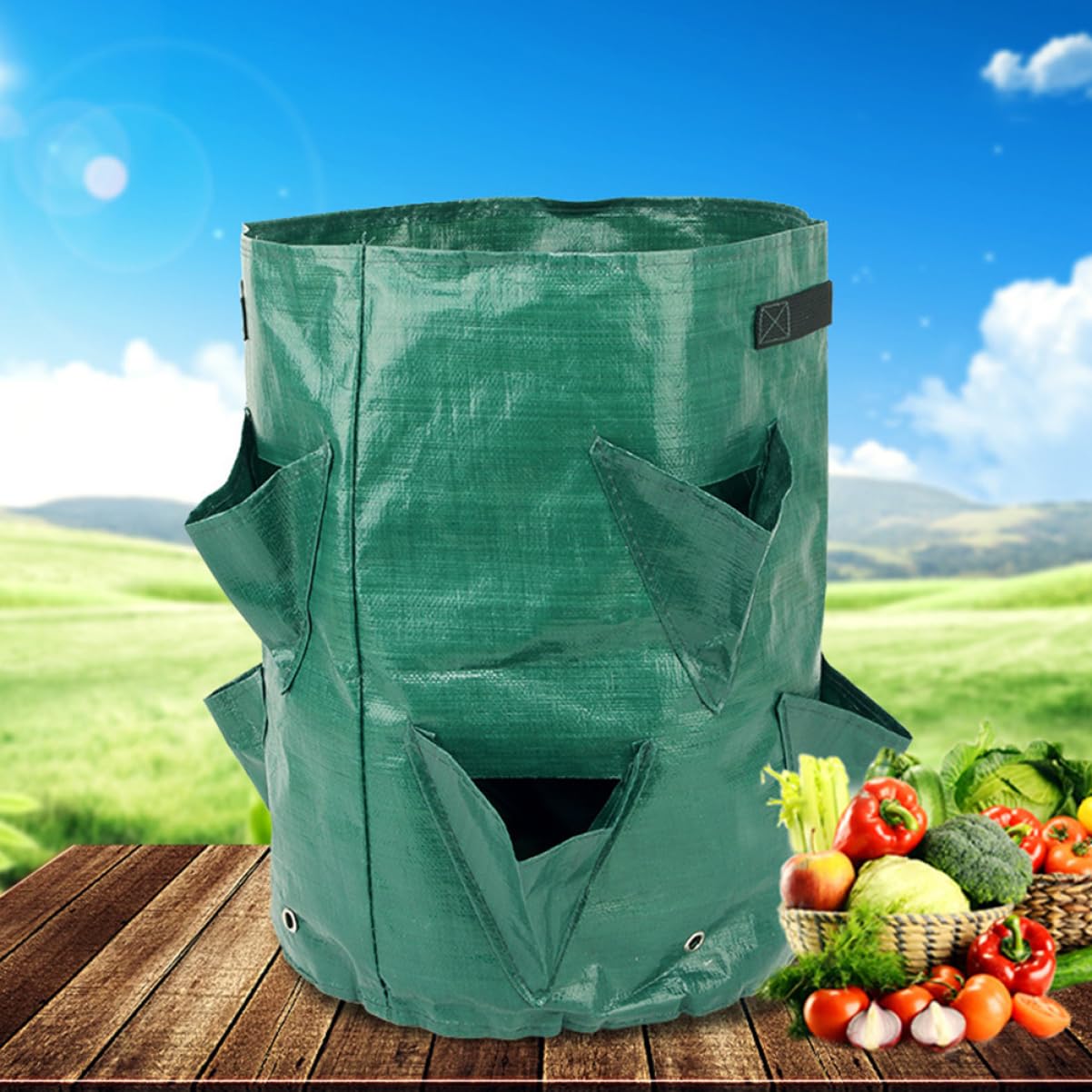 TOYANDONA 2 Series Bolsa Plantas PE Jardín Y Resistente Y Reutilizable Fresas Y Verduras 2 Piezas*2