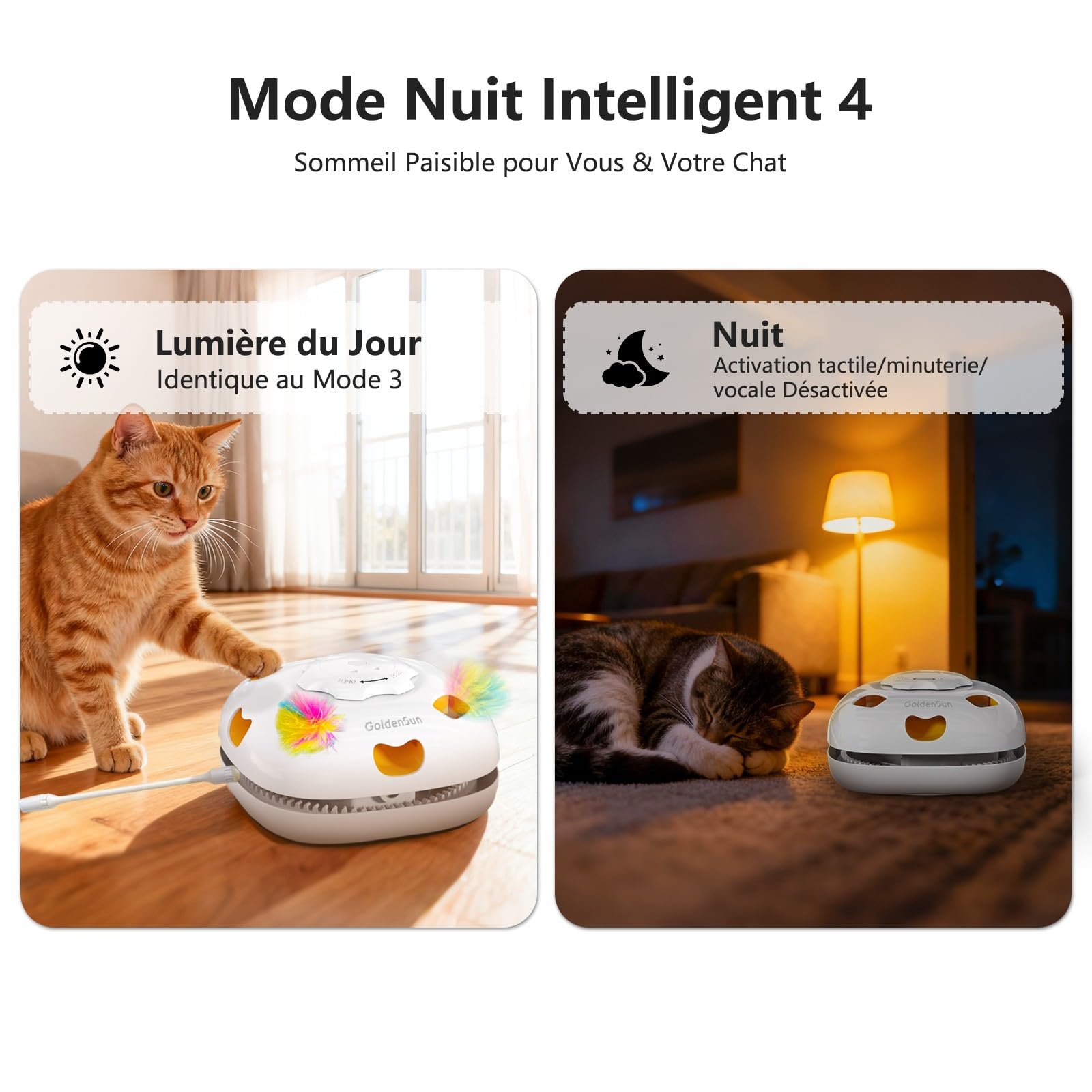 GoldenSun Jouet pour Chat Rechargeable Interactif 4 en 1 Cache-Cache Mouvement Whack a Mole