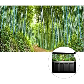 Amazon Co Jp Awhao 水槽背景 バックスクリーン ステッカー 水族館 飾り 防水 厚いpvc 竹の森のパターン 家電 カメラ