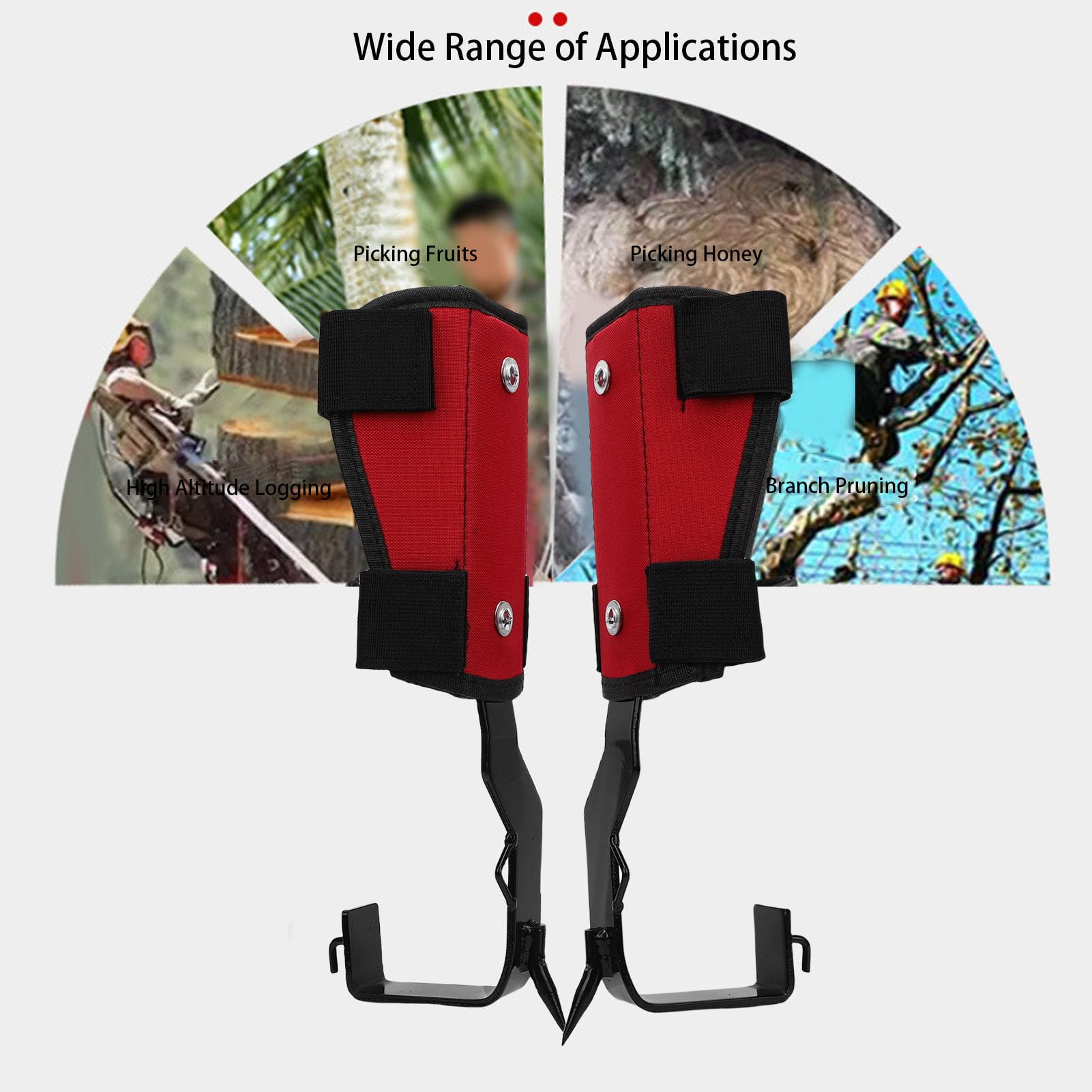 Focket Pointes d'escalade d'arbre, 1 Paire de Matériel d'escalade d'arbre Réglable en Plein Air avec Sangles et Gants, équipement D'arboriste en Acier Inoxydable pour Grimpeurs