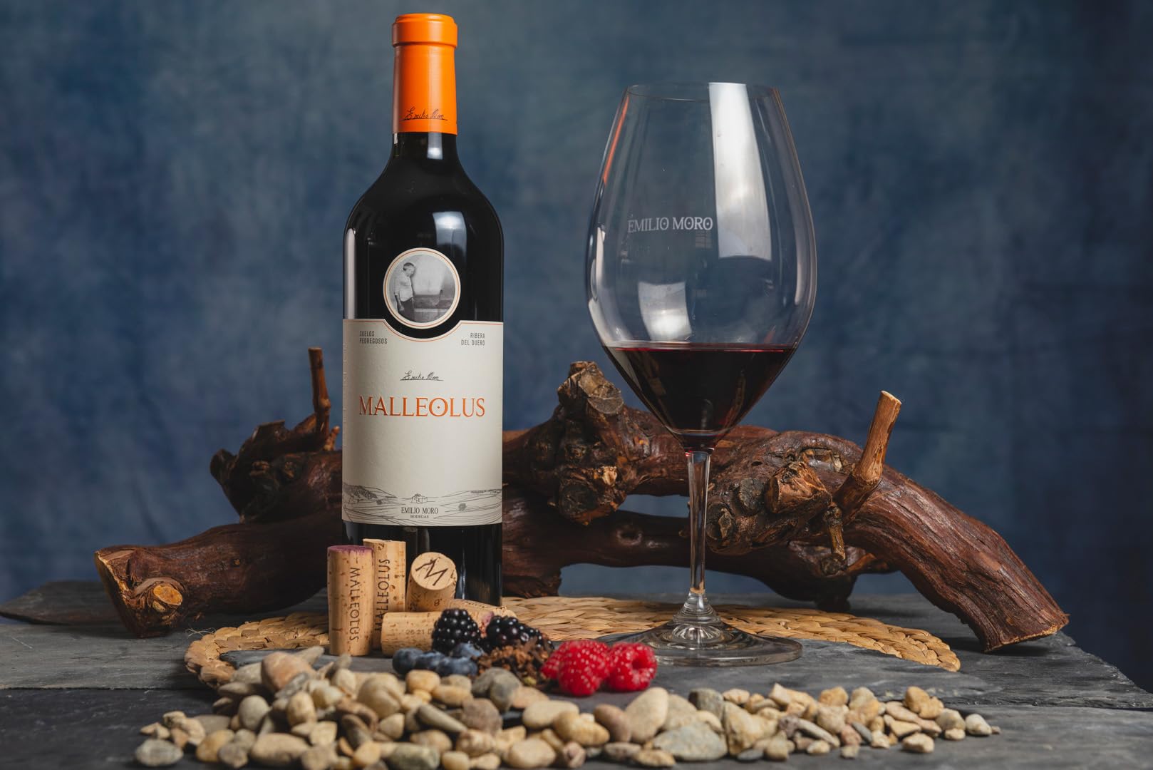 Emilio Moro - Malleolus, Vino Tinto Español, Tempranillo, D.O. Ribera del Duero - Pack de 3 Botellas x 750 ml