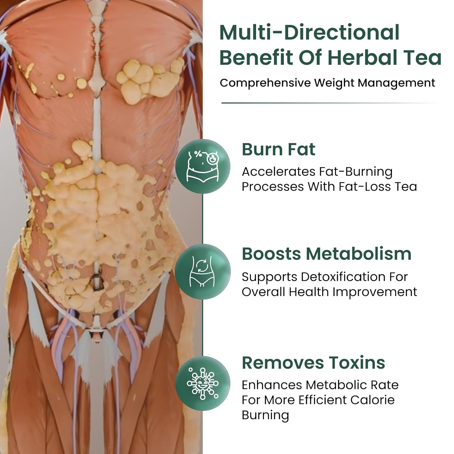 Buy Now Healofy Naturals Slimming Tea, Natural Fat Burn Formula, Vis... 3 Buy Now Healofy Naturals Slimming Tea, Natural Fat Burn Formula, Vis...