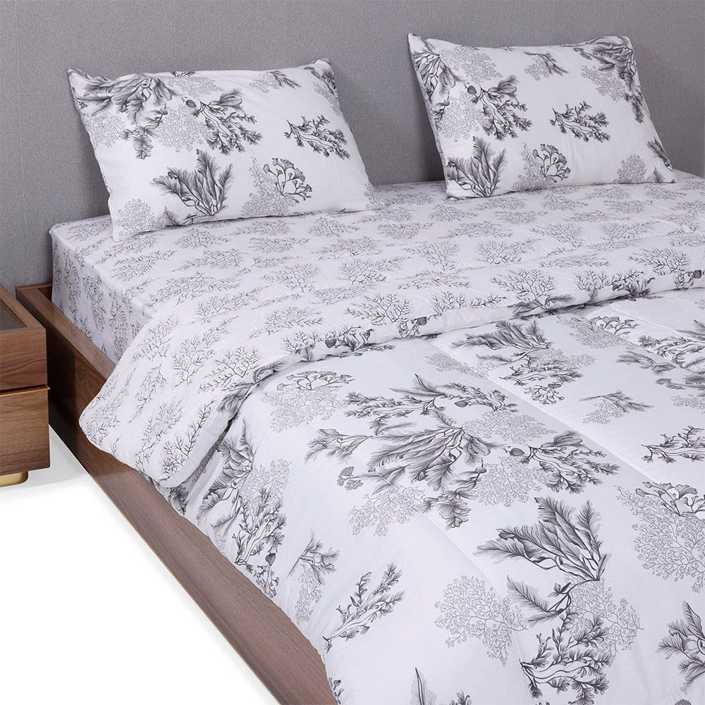 homes r us هومز أر أس Stella 3-Piece Comfo te Set, Ivo y – 200TC, 240x260 Cms