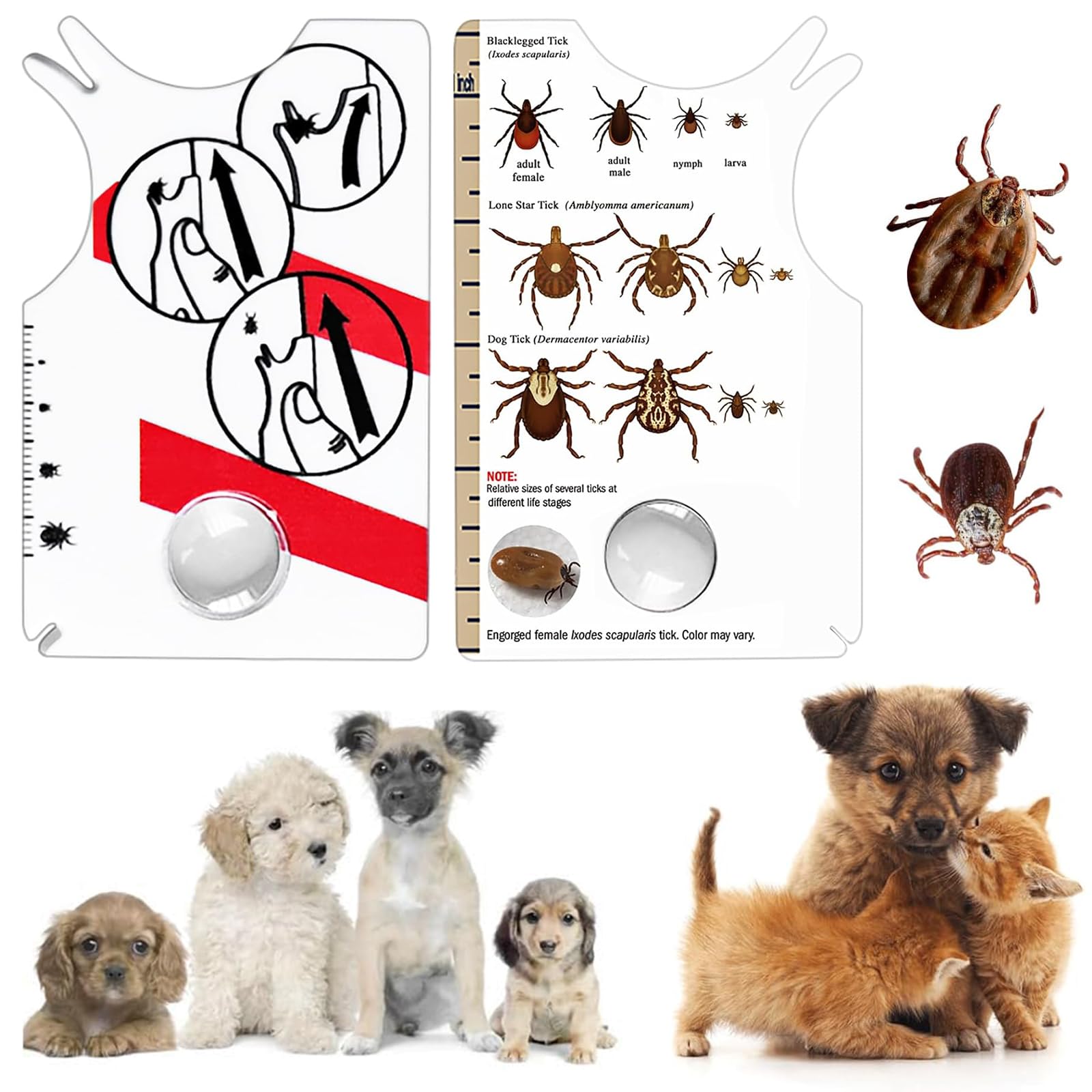 2 pièces Carte à Tiques, Carte à Tiques Homme & Enfants, avec Loupe - Rapide & Doux Enlever Les Tiques pour Chien, Homme & Animal de Compagnie | Tick Cards for Humans