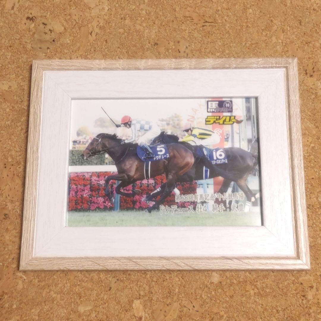 Amazon.co.jp: ドウデュース 有馬記念レース写真パネル デイリー