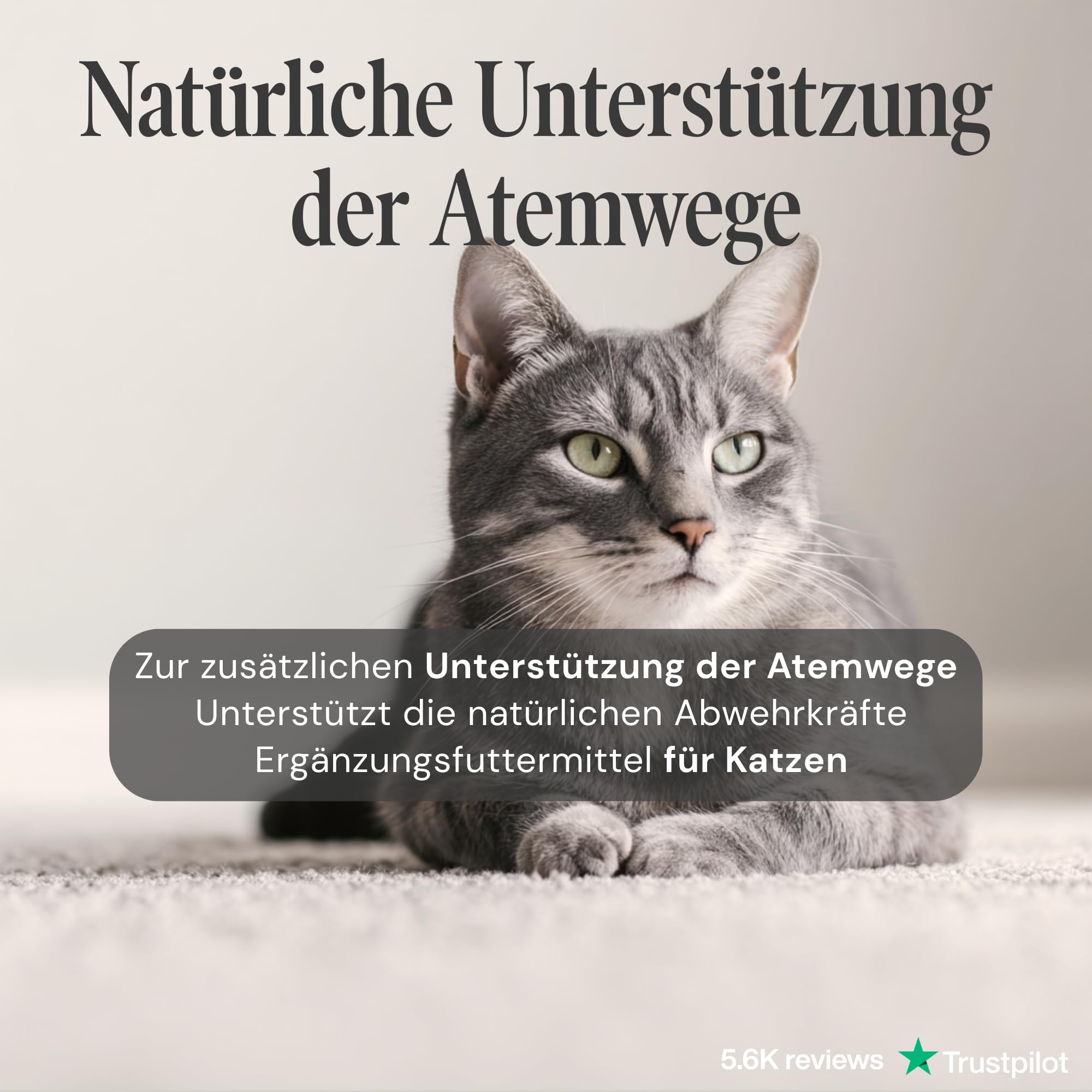 Sneeze Aid Kat - Suplemento dietético para la enfermedad del estornudo y los estornudos - 90 comprimidos de 250 mg