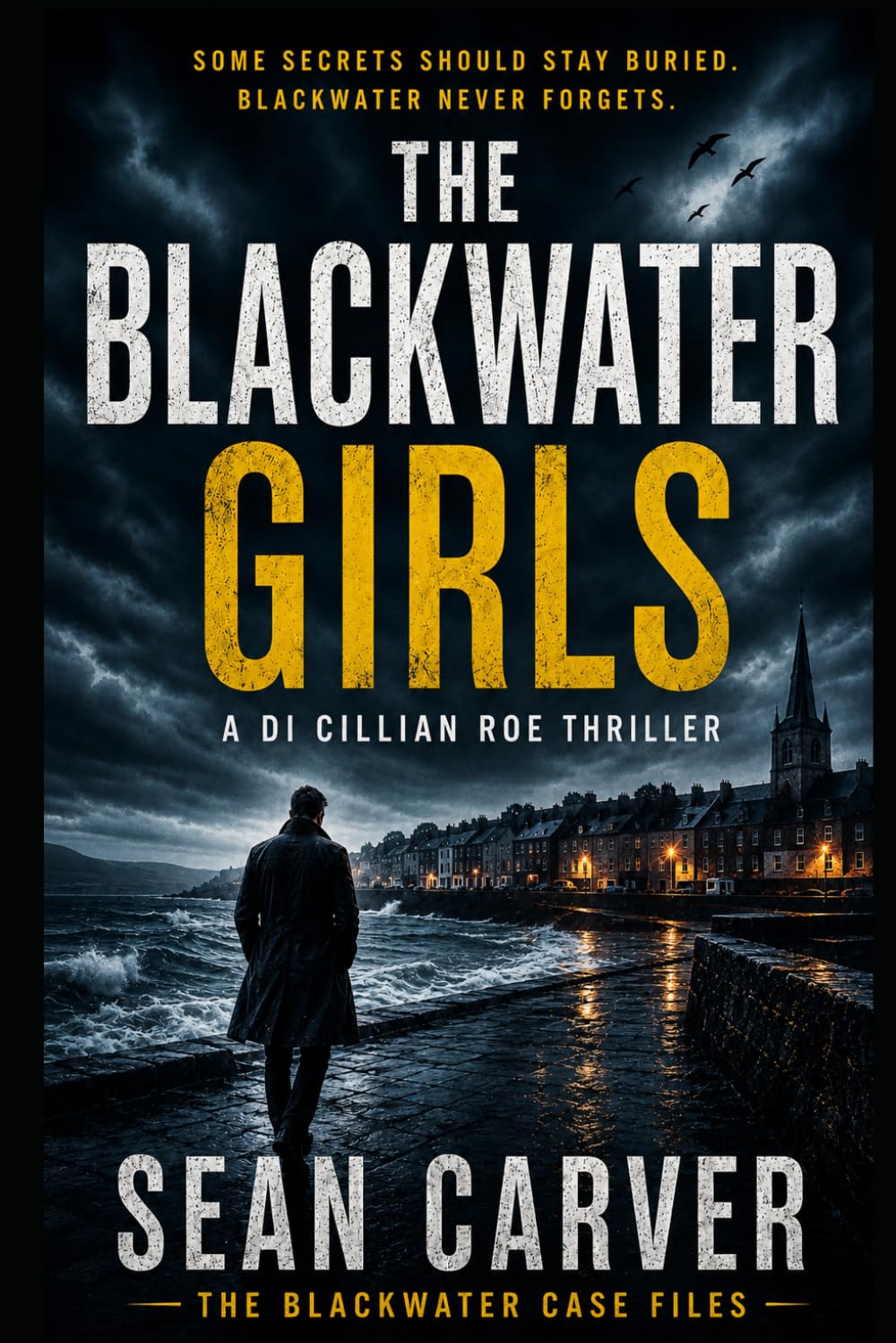 The Blackwater Girls: A gripping Irish crime thriller about memory, guilt, and the terrible cost of silence. (The Blackwater Case Files)