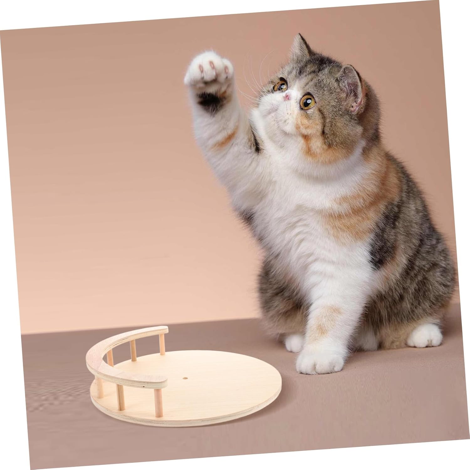GALPADA Wooden Cat Climbing Frame Accessory DIY Platform Steps Scratching Post Board Detachable Shelf Sturdy for Indoor Cats