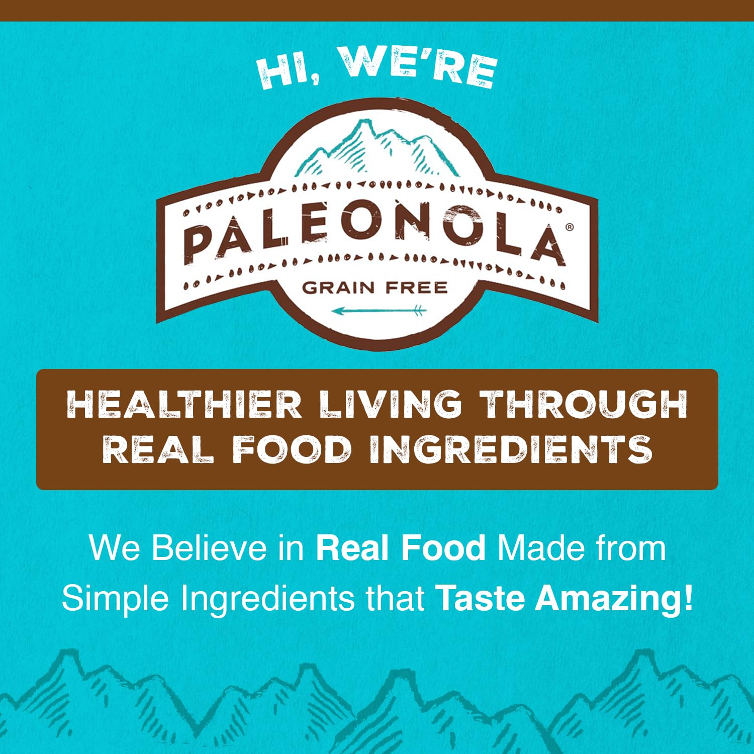 Paleonola Original Grain Free Granola, 10 Oz Resealable Bag (Pack of 6) - Grainless Protein Paleo Granola Blended with Dried Coconut and Cranberries - Low Carb, Gluten & Dairy Free, Non-GMO Snack