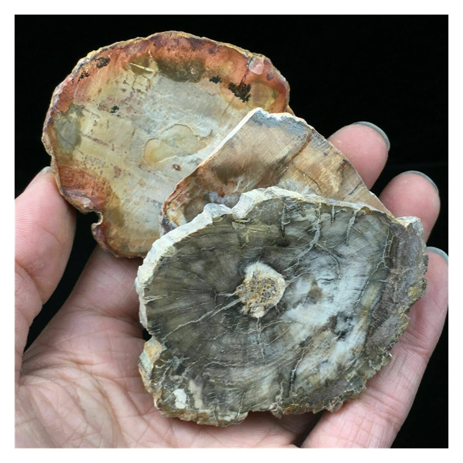 AAKOMA Cristallo Naturale Grezza Naturale Microsezione levigata Pietra pietrificata Cristallo di Quarzo Regalo Guarigione 1pc